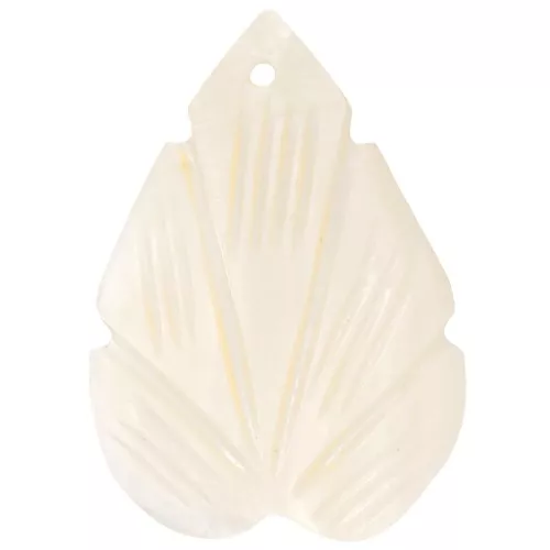 Colgantes hoja curva 40x29 mm en Nácar - Natural x2