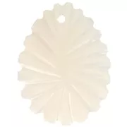 Colgantes hoja curva de nácar 30x22 mm - Natural x2