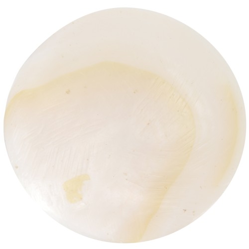 Cabujones redondos de nácar 15 mm Natural x2