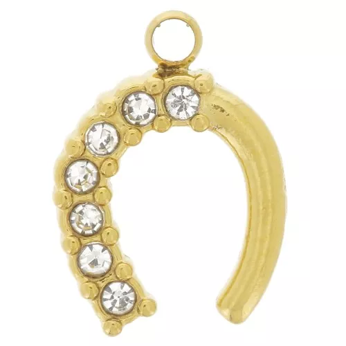 Dije de herradura 11x8 mm - Óxido de circonio - Acero inoxidable dorado 304L x1