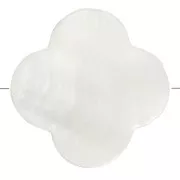 Cuentas florde nácar irisado 17 mm Natural x10