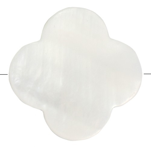 Cuentas florde nácar irisado 17 mm Natural x10