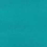 Papel de seda 50x70cm Azul Petroleo x5 hojas