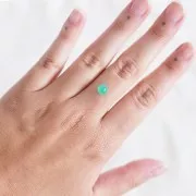 Crisoprasa redonda 6,2 mm - 1,36 cts