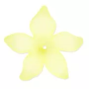 Flor 27 mm Amarillo Frosted