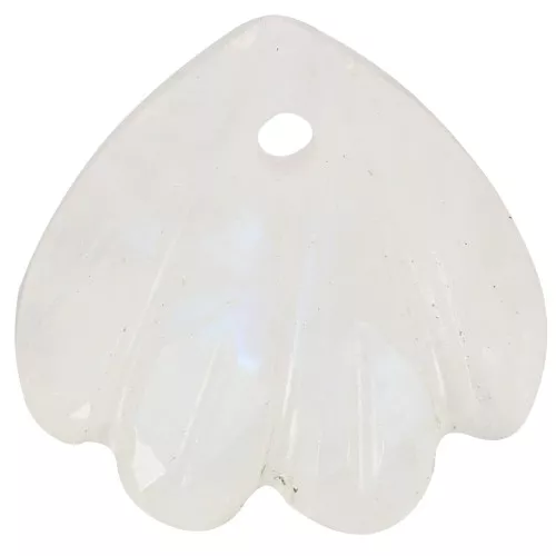 Lentejuela concha 12 mm gema - Piedra luna x1