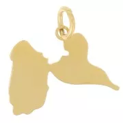 Colgante Guadalupe 14x19 mm - Acero inoxidable 316L dorado x1