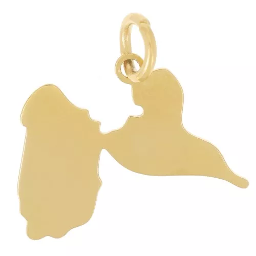 Colgante Guadalupe 14x19 mm - Acero inoxidable 316L dorado x1