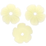Cascillas flores 10 mm resina - Crudo x12