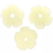 Cascillas flores 10 mm resina - Crudo x12