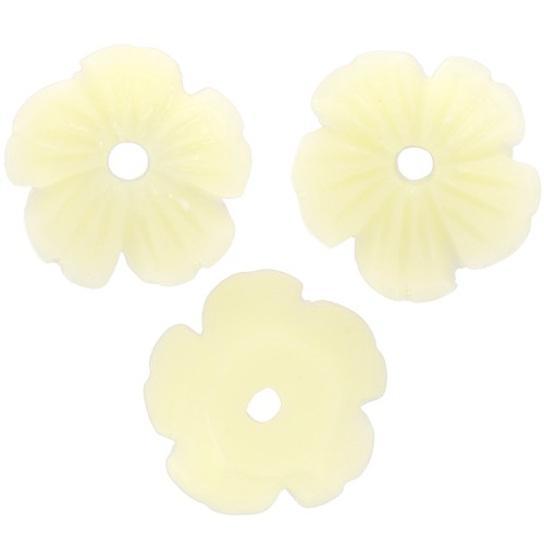 Cascillas flores 10 mm resina - Crudo x12