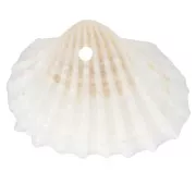 Colgantes de concha 16x20 mm - Natural x4