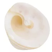 Cuentas cónicas concha 10x14 mm - Natural x4