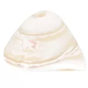 Cuentas cónicas concha 10x14 mm - Natural x4