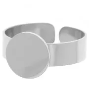 Anillo disco plano 10 mm Acero inox