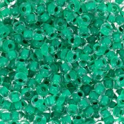 Cuentas de Rocalla Preciosa 8/0 de 3 mm - Terra Intensive - Sea Green Lined x20 g