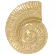 Colgante concha 27x22 mm - Acero inoxidable 304L Dorado x1