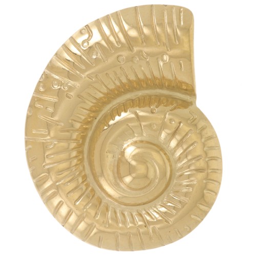 Colgante concha 27x22 mm - Acero inoxidable 304L Dorado x1