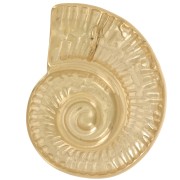 Colgante concha 27x22 mm - Acero inoxidable 304L Dorado x1