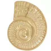 Colgante concha 27x22 mm - Acero inoxidable 304L Dorado x1