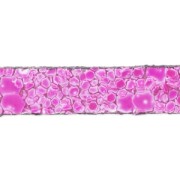 Cordón plano cuero Arena 5 mm Fuchia x30cm|raw }}