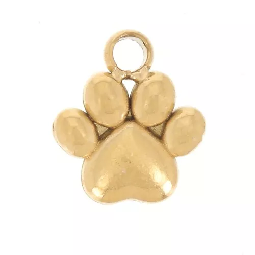 Dije pata de perro 7x6 mm - Acero inoxidable 304 Dorado x1