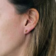 Pendientes delfín 4x9 mm - Acero inoxidable 316L dorado x2