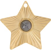 Colgante estrella plisado 27x28mm cabujón de 6mm Acero inoxidable dorado 304L x1