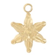 Dije de estrella de acero inoxidable 304L Dorado de 10x7 mm x1