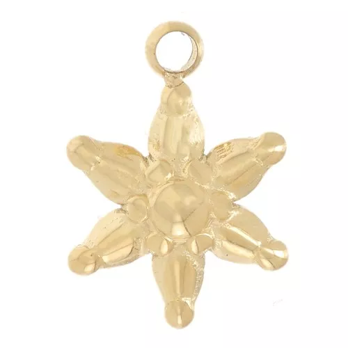 Dije de estrella de acero inoxidable 304L Dorado de 10x7 mm x1