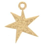 Colgante estrella asimétrica martillada 20x16 mm - Dorado con oro fino x1