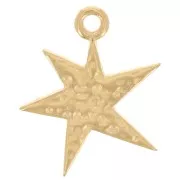Colgante estrella asimétrica martillada 20x16 mm - Dorado con oro fino x1
