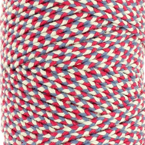 Cordón de algodón trenzado de 2,5 mm - Fabricación francesa - Tricolor x1m