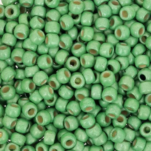 Rocalla Toho 8/0 TO8RPF587F - PF Green Apple Mat Galvanized x8g