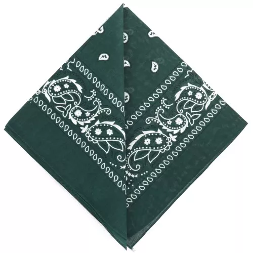 Pañuelo 100% algodón - Cachemira - Verde abeto x1