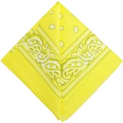 Bandana 100% algodón - Cachemira - Amarillo limón x1|raw }}