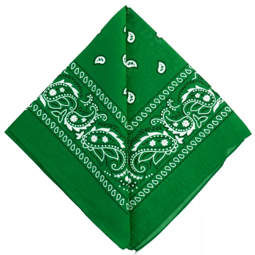Pañuelo 100% algodón - Cachemira - Verde oscuro x1