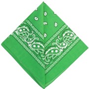 Pañuelo 100 % algodón - estampado Cachemira - Verde x1