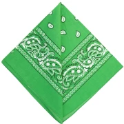 Pañuelo 100 % algodón - estampado Cachemira - Verde x1