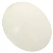 Perle olive en résine opaque 24x19 mm - Ecru x1