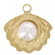 Dije de concha de 10 mm con perla de imitación de nácar - Acero inoxidable 304L Dorado x1