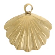 Dije de concha de 10 mm con perla de imitación de nácar - Acero inoxidable 304L Dorado x1