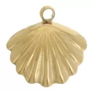 Dije de concha de 10 mm con perla de imitación de nácar - Acero inoxidable 304L Dorado x1