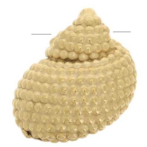 Dije de concha 14x12 mm - Acero inoxidable 304L Dorado x1