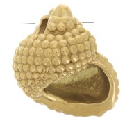 Dije de concha 14x12 mm - Acero inoxidable 304L Dorado x1