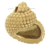 Dije de concha 14x12 mm - Acero inoxidable 304L Dorado x1