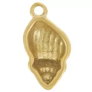 Dije de concha abombada 17x9 mm - Acero inoxidable 304L Dorado x1