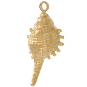 Dije de concha 20x9 mm - Acero inoxidable 304L Dorado x1|raw }}