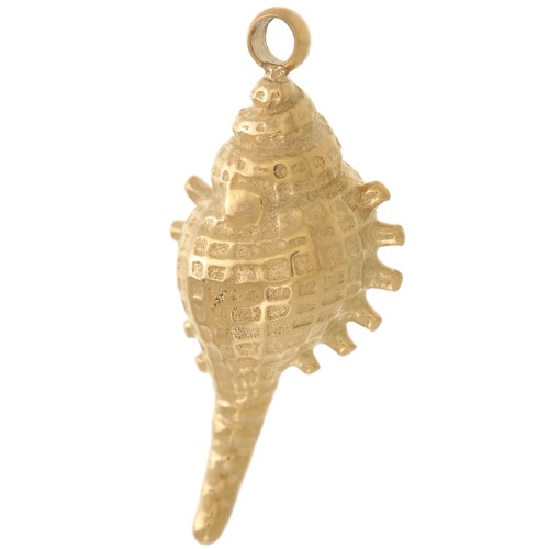 Dije de concha 20x9 mm - Acero inoxidable 304L Dorado x1