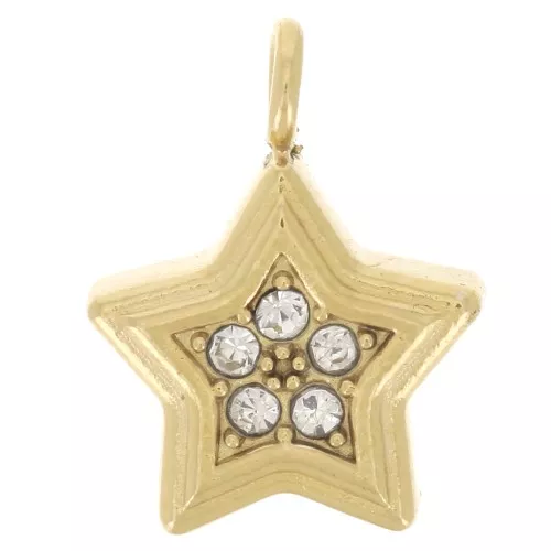 Dije de estrella de 11x8,5 mm con óxidos de circonio - Acero inoxidable 304L Dorado x1